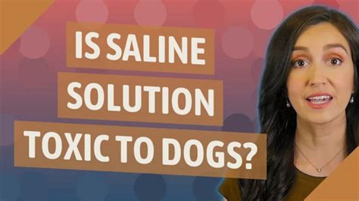 Are Bath Salts Poisonous To Dogs