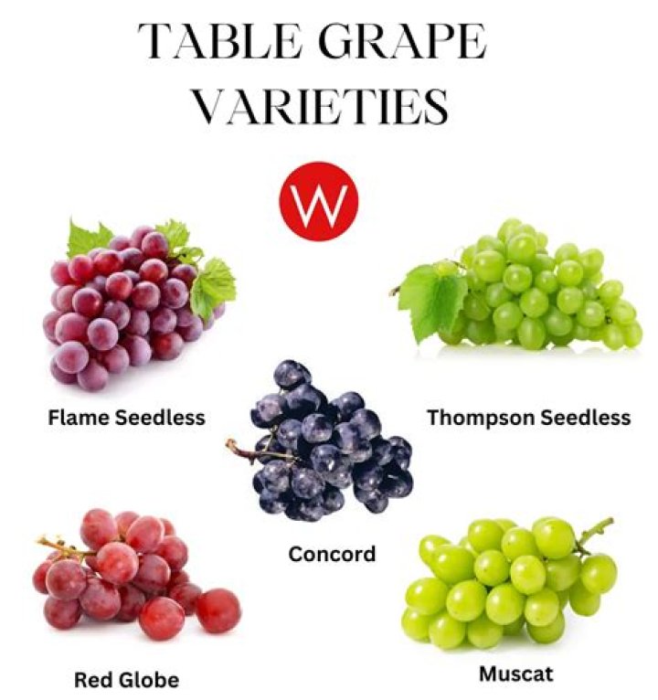 Are Concord grapes table grapes