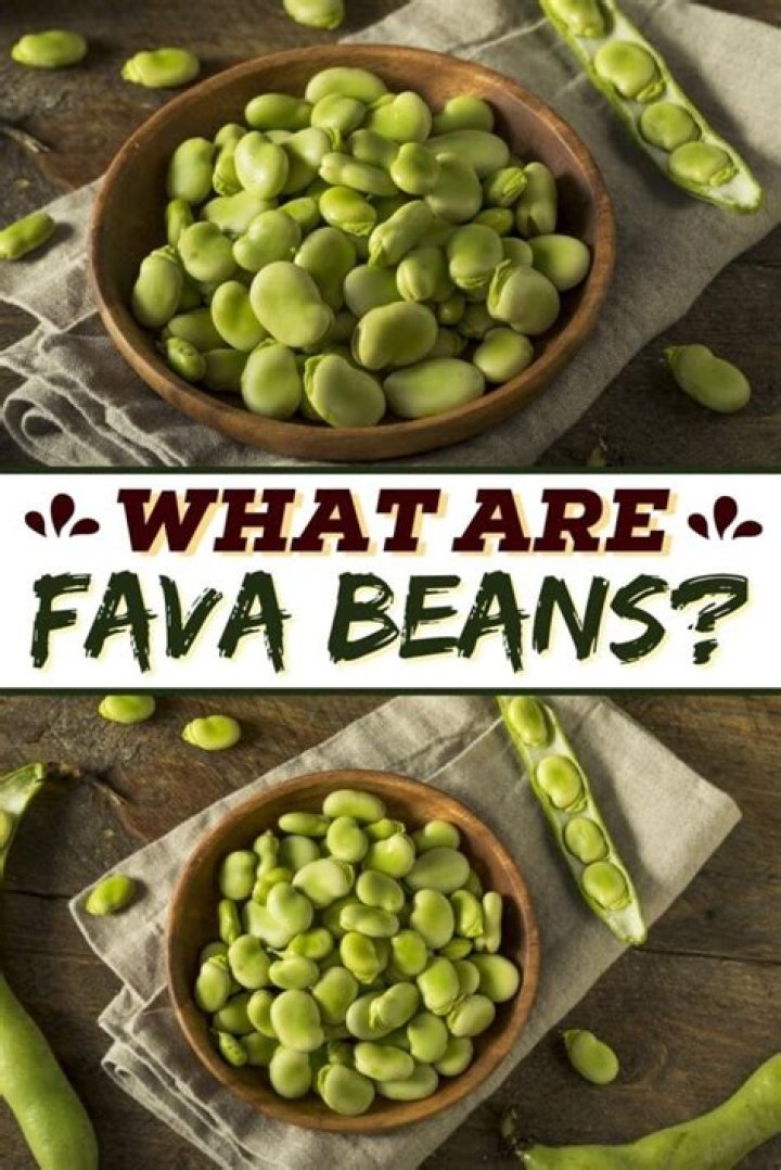 Are fava beans called anything else