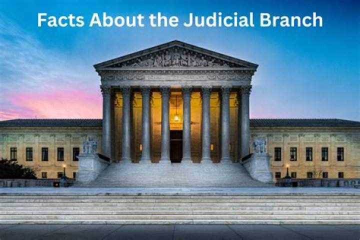 Are lawyers part of the judicial branch