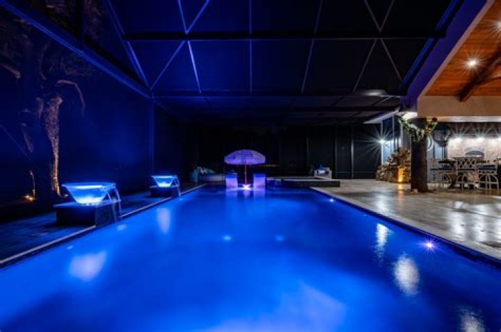 Are rats most active at night