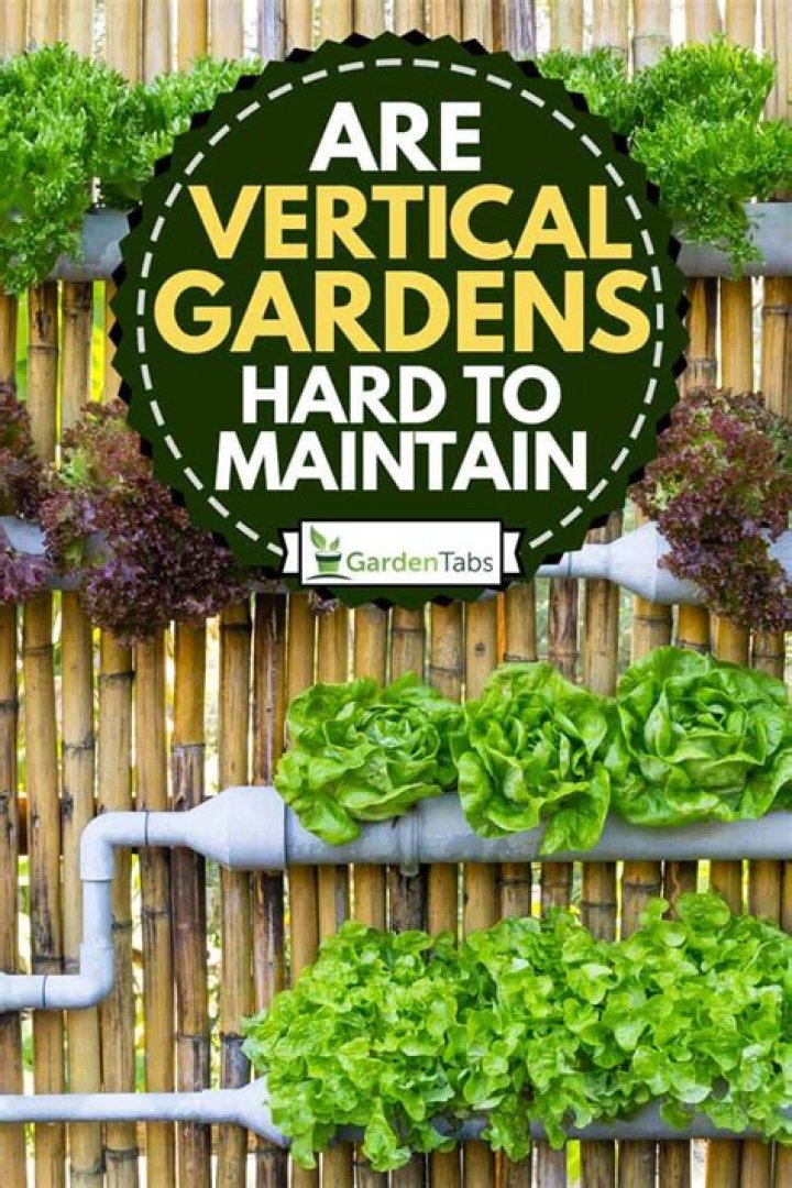 Are vertical gardens hard to maintain
