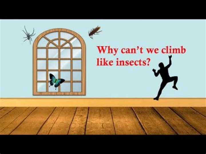 Can All Crickets Climb Walls