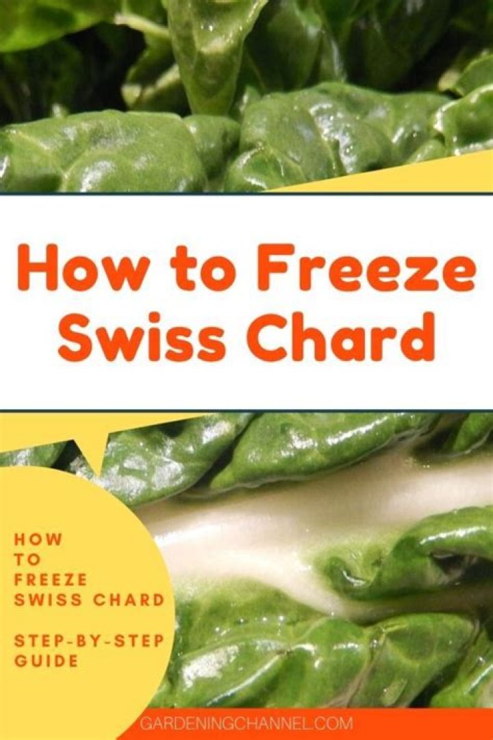 Can I freeze Swiss chard without blanching