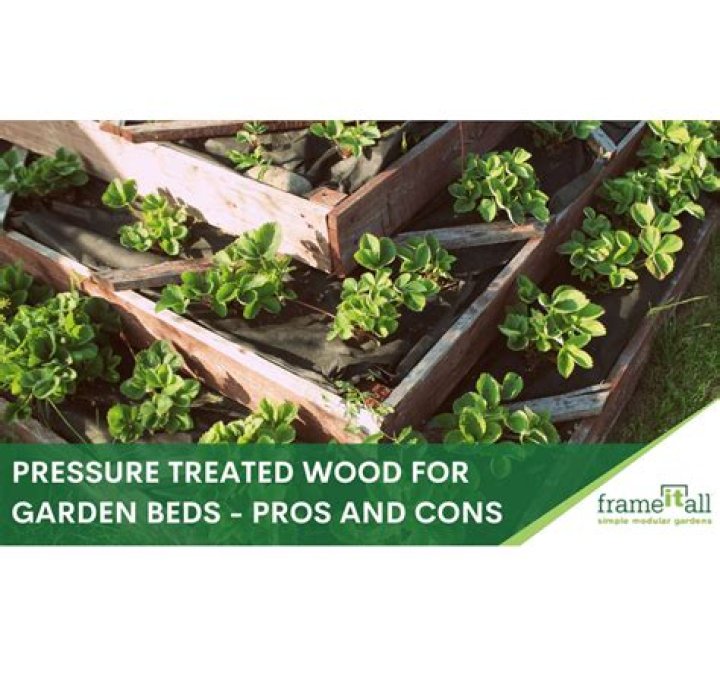 Can pressure treated wood be used for raised beds