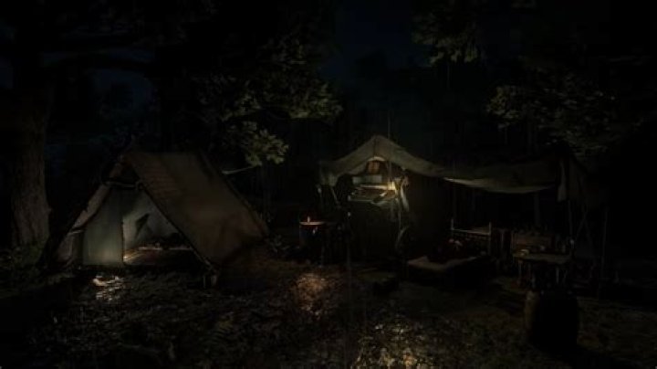 Can’t Sleep At Camp Rdr2
