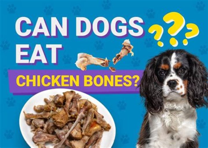 Can you eat dog bones