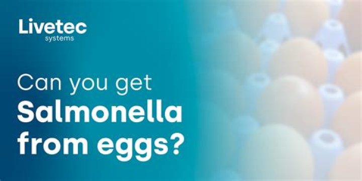 Can you get salmonella from egg cartons