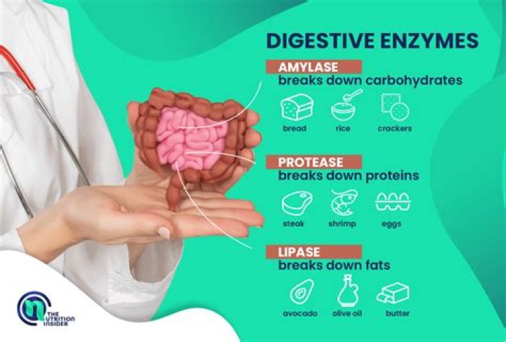 Do taking digestive enzymes work
