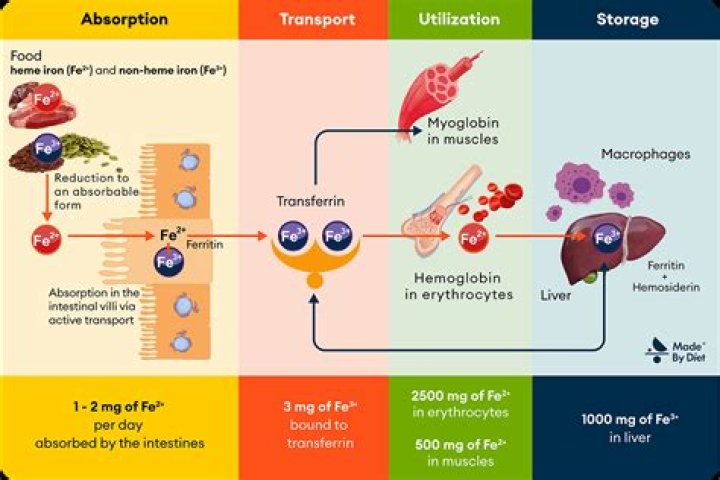 Does banana interfere with iron absorption