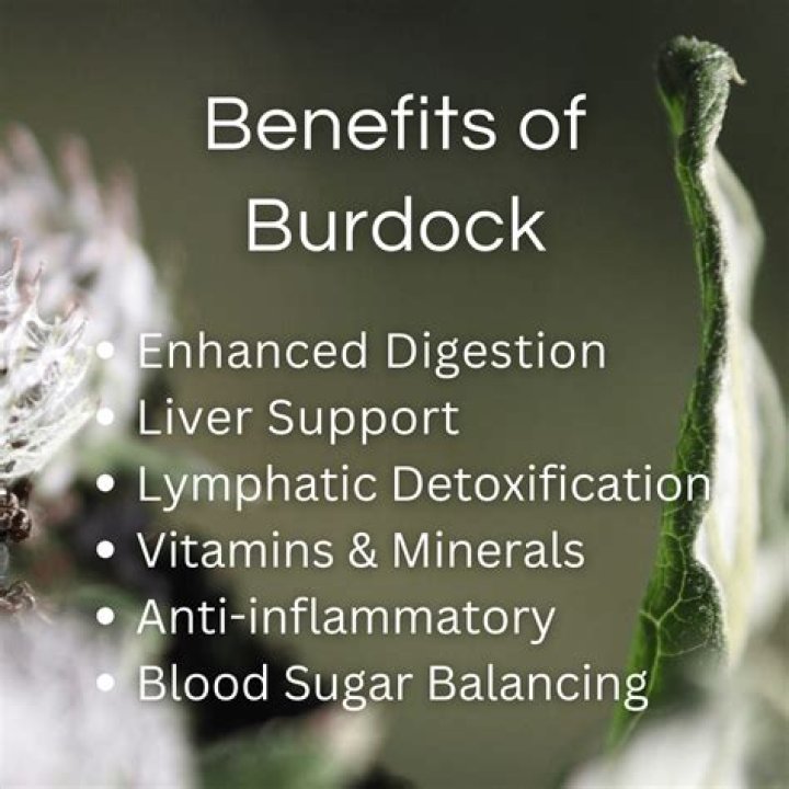 Does burdock root have 102 minerals