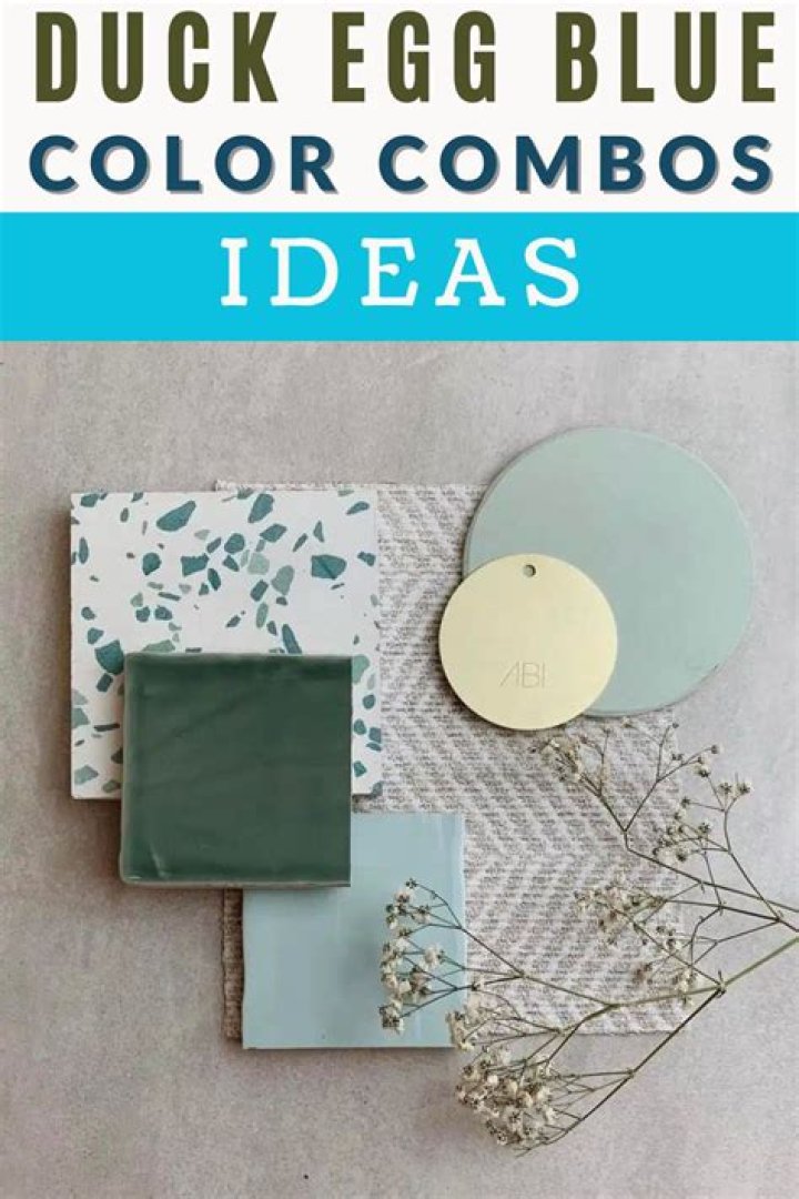 Does duck egg blue go with Brown