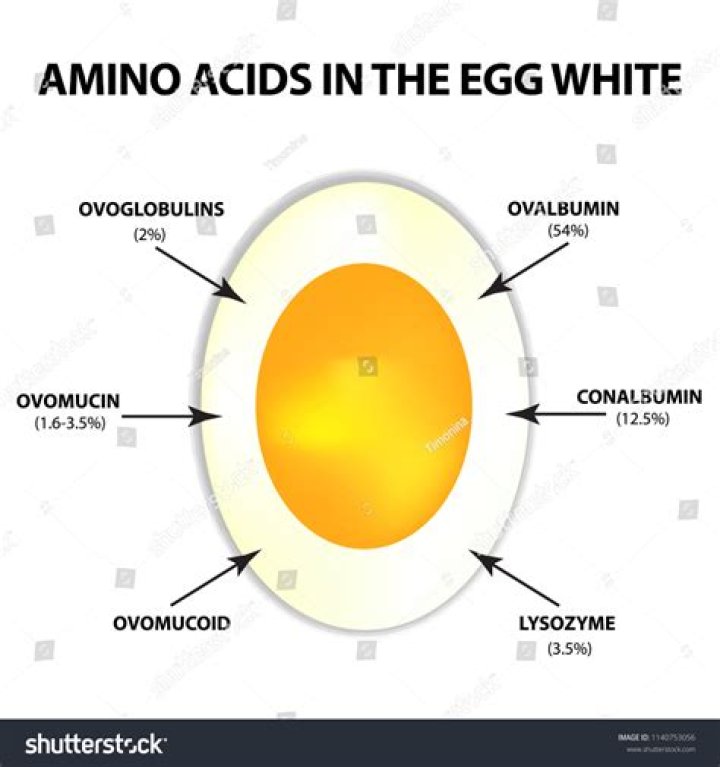 Does egg white have amino acid
