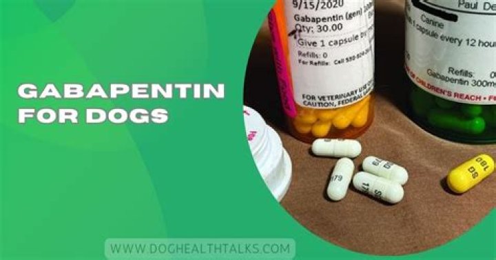 Does Gabapentin Make A Dog Pant