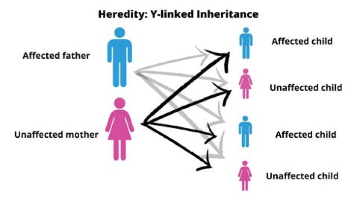 Does heredity influence intelligence