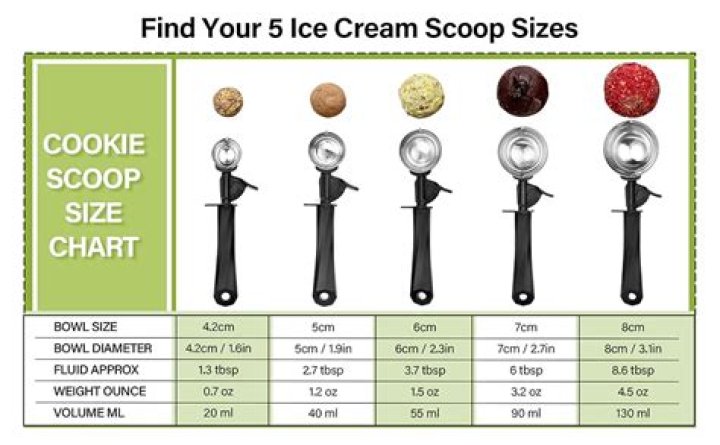 How big is a scoop of 310 Shake
