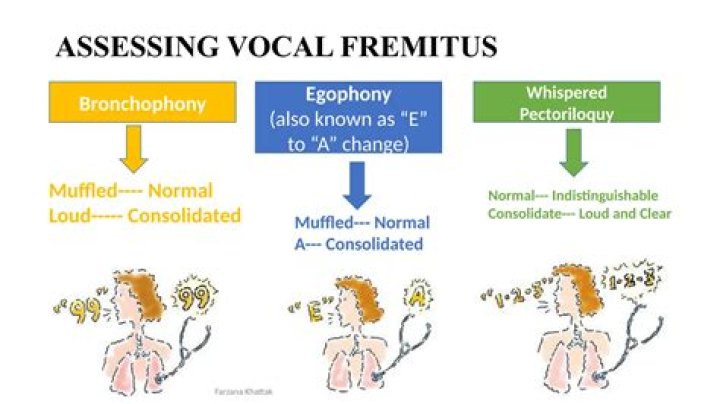 How do you assess moles