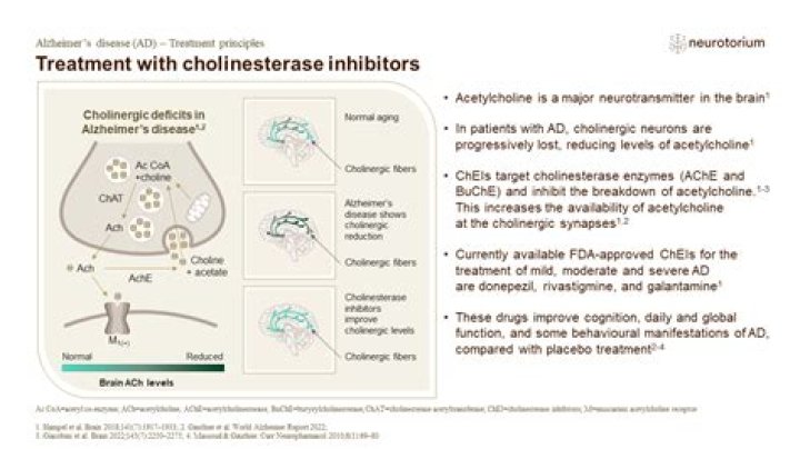 How do you cholinesterase inhibitors treat Alzheimers