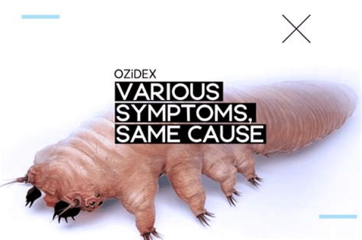 How do you get demodex mites