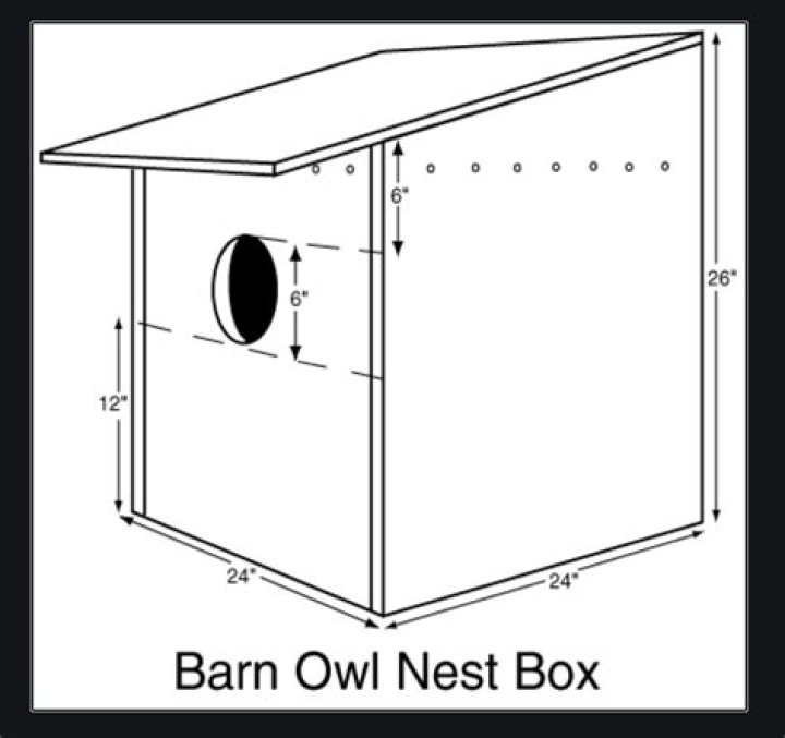 How do you make a barn owl box