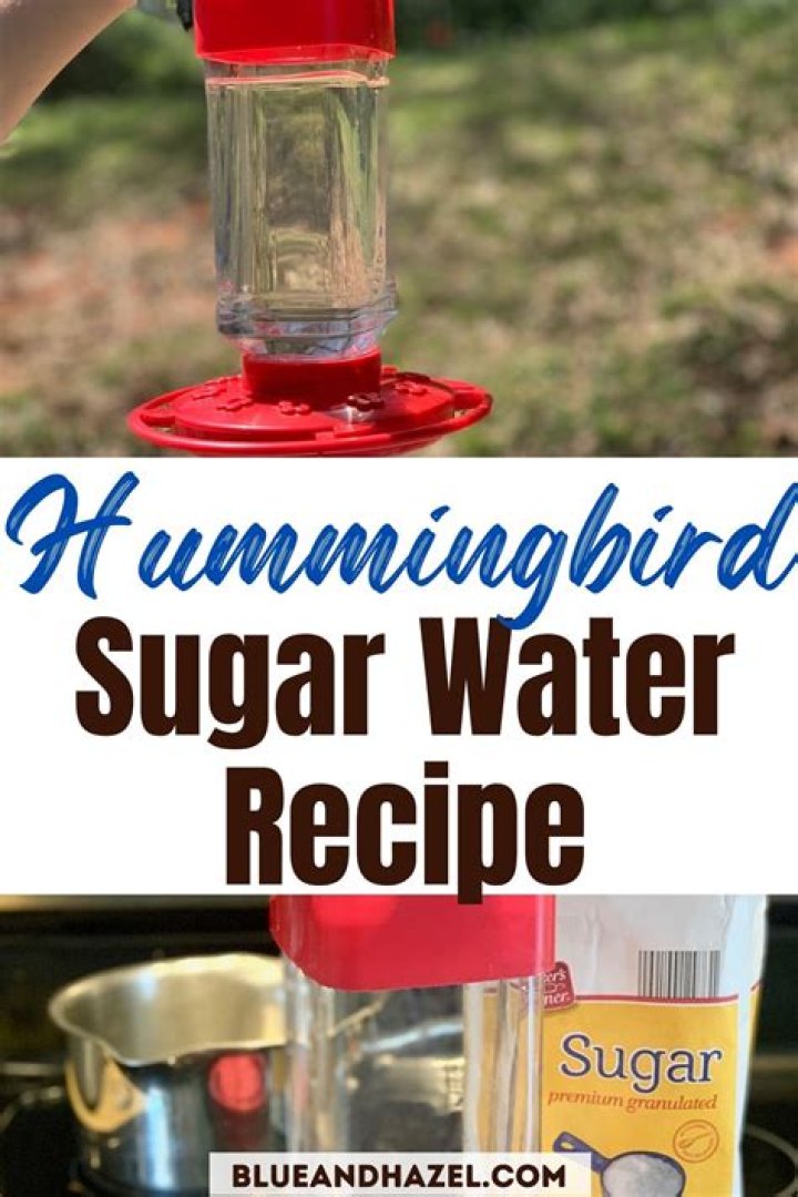 How do you make sugar water for birds