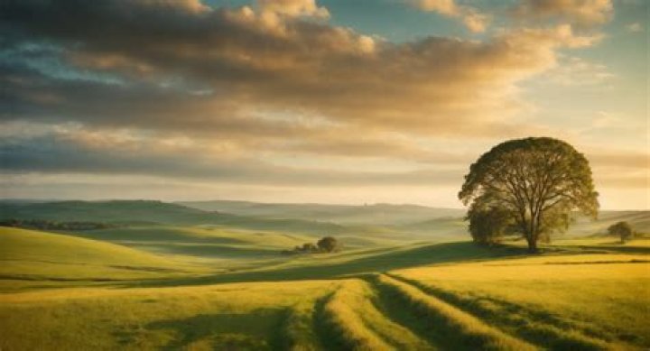 How do you take landscape photos in bright sunlight