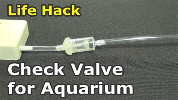 How does an aquarium check valve work
