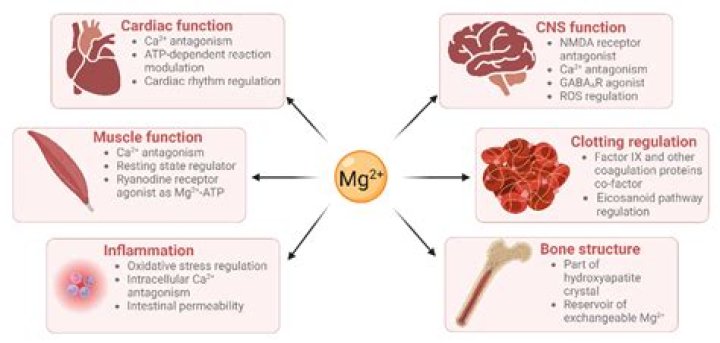 How does mag sulfate prevent seizures