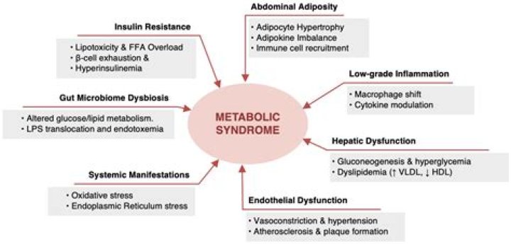How is metabolic syndrome typically diagnosed