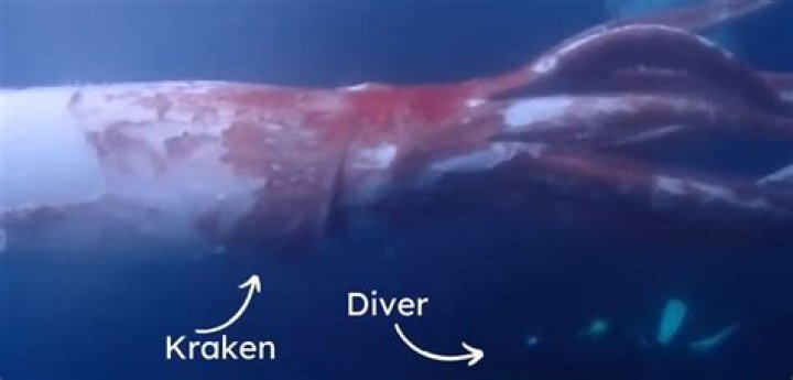 How long does Kraken take to verify