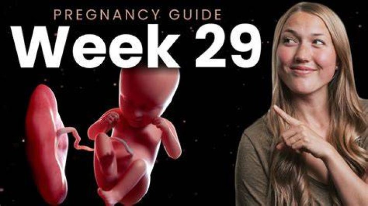 How Long Is 29 Weeks