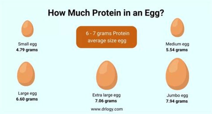 How Many Grams Of Protein In Two Eggs