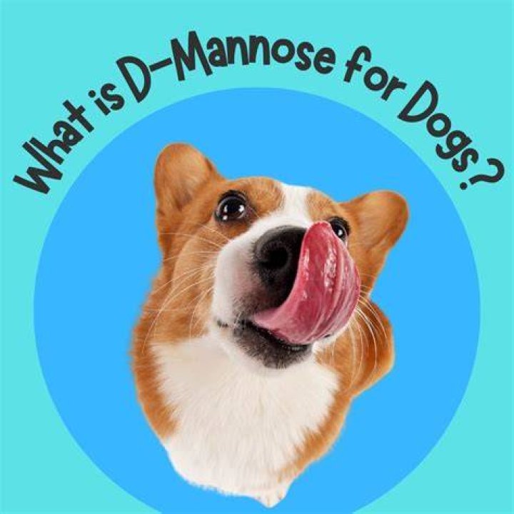 How Much D Mannose For Dogs