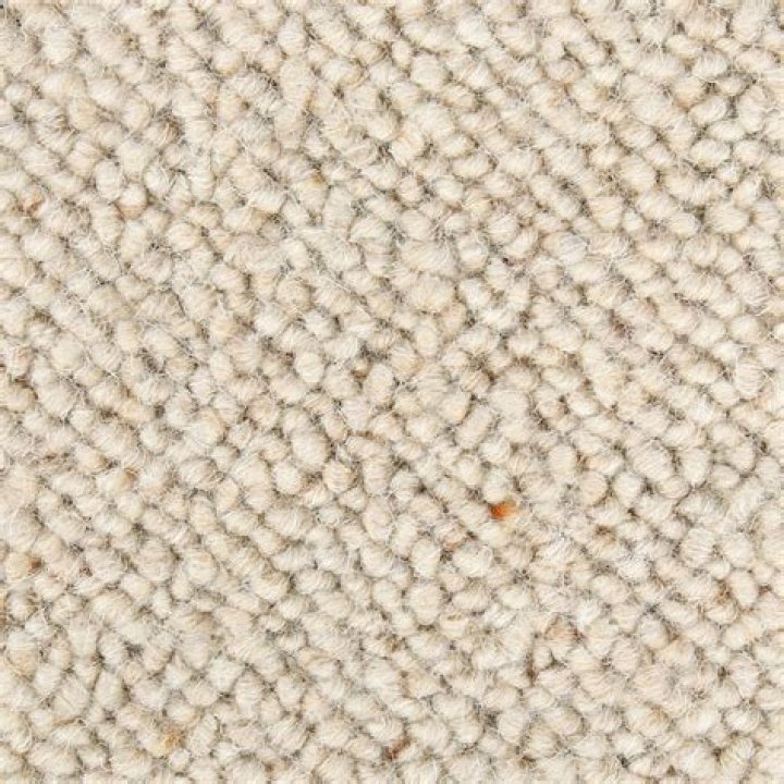 How Much Does It Cost To Repair Berber Carpet