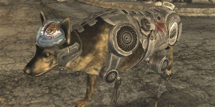 How To Feed Dog In Fallout New Vegas