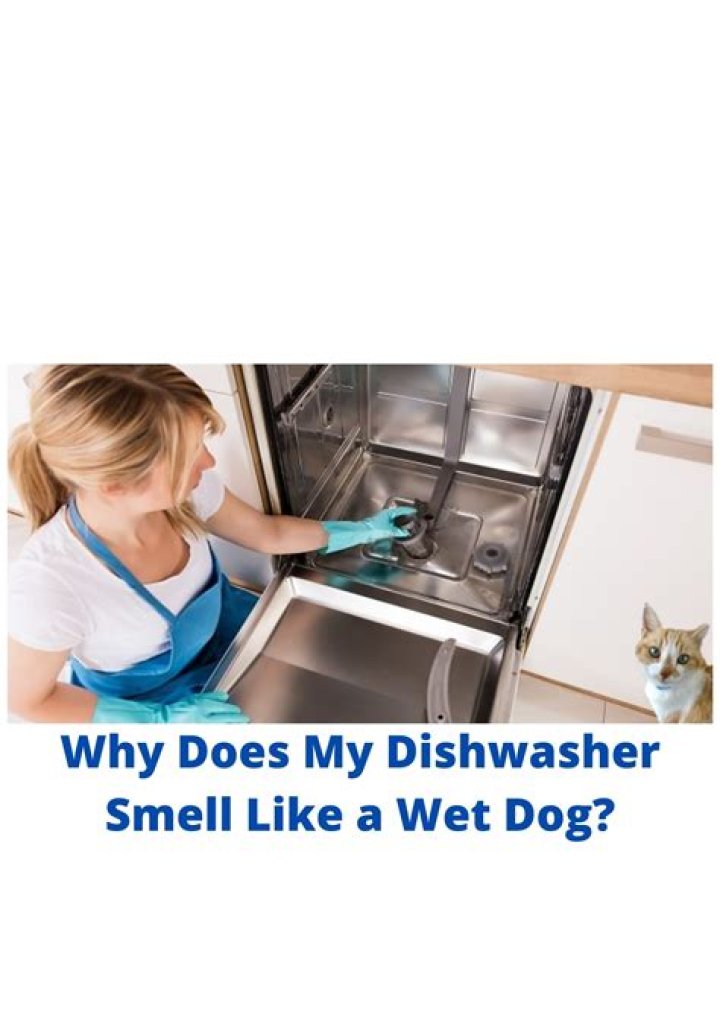 How To Stop Dishwasher Smelling Of Wet Dog