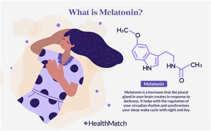 Is Melatonin And Hemp Combinations Safe For Dogs