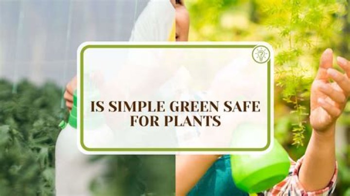 Is Simple Green safe for paint