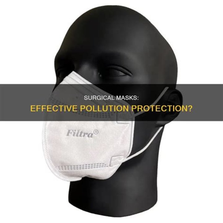 Is Surgical Mask Effective Against Pollution