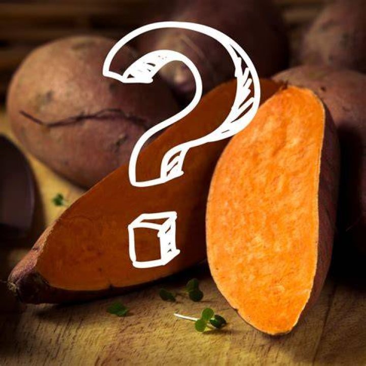 Question: Can Dogs Have Raw Sweet Potatoes
