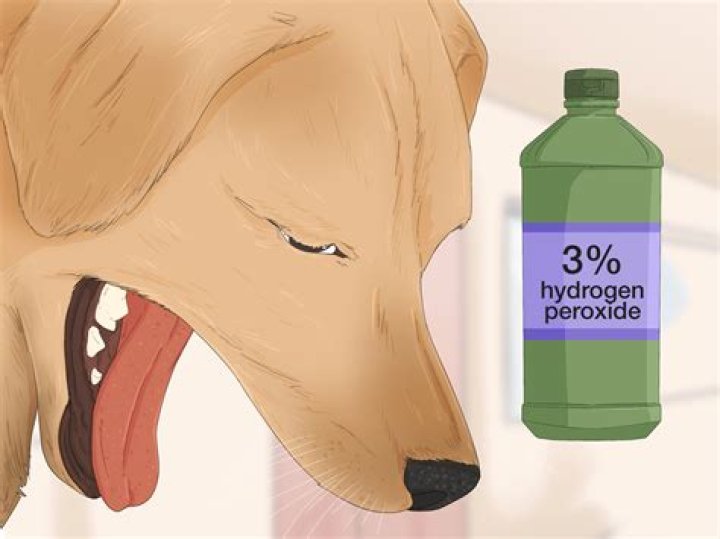 Question: Can I Use Hydrogen Peroxide To Clean Dogs Teeth