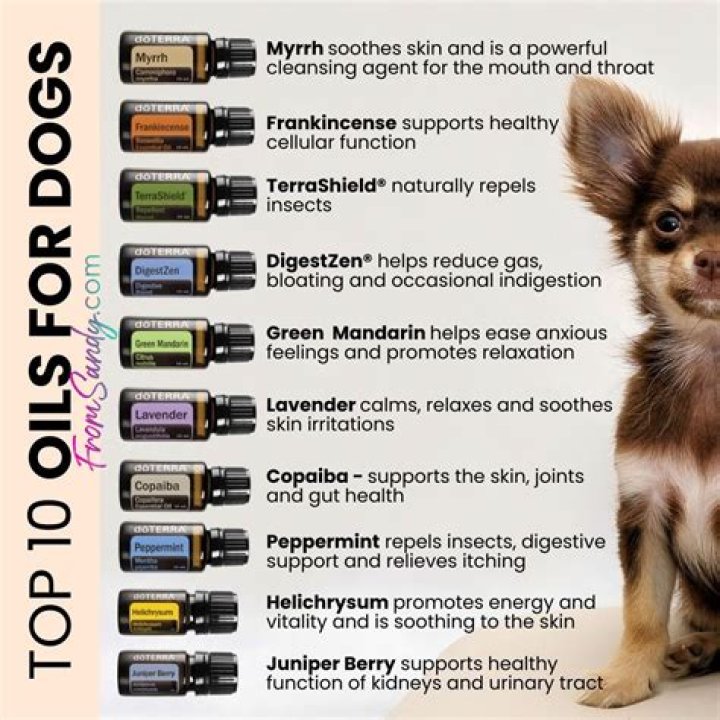 Question: Can Purification Essential Oil Be Used On Dogs