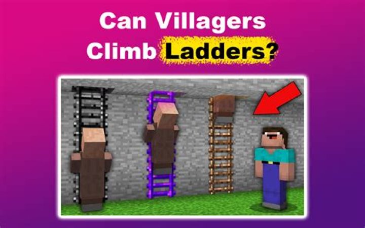 Question: Can Villagers Climb Ladders To Beds
