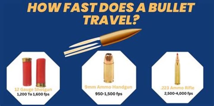 Question: How Fast Does A 12 Gauge Slug Travel