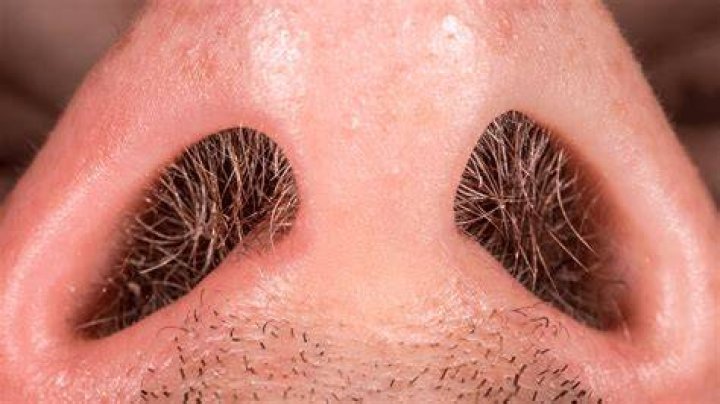Question: How Fast Does Nose Hair Grow
