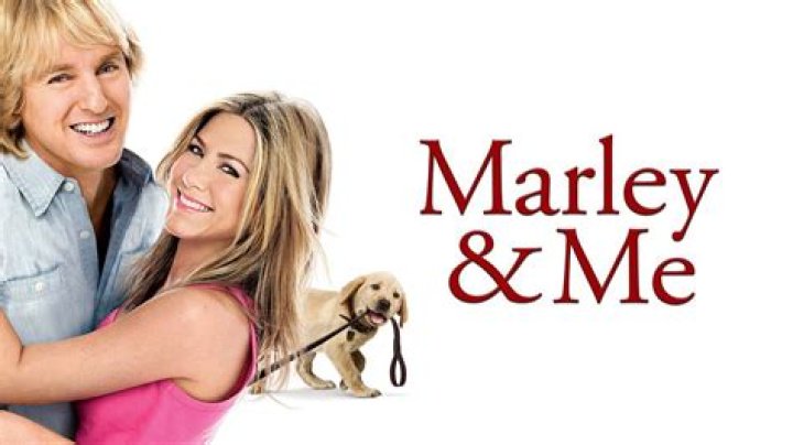 Question: How Many Dogs Used In Marley And Me