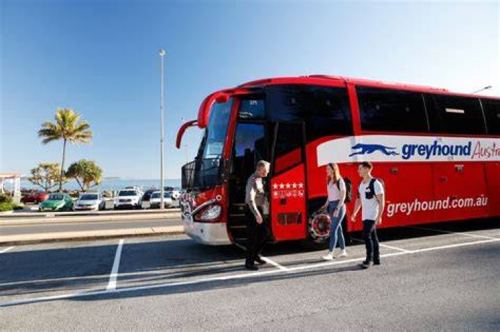 Question: How Many People Fit On A Greyhound Bus