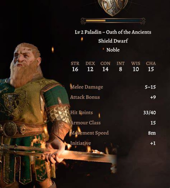 Question: How Much Health Does A Level 2 Paladin Have