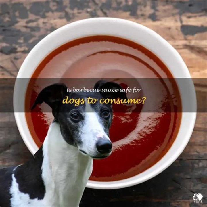 Question: Is Barbecue Sauce Safe For Dogs