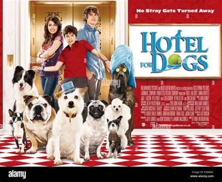 Question: Where To Watch Hotel For Dogs 2